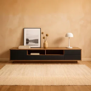 EchoLine TV Unit